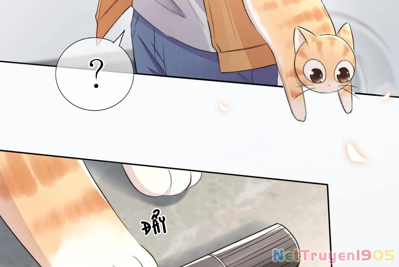 Những Ngày Cùng Tra Công Chính Diện Quyết Đấu Chapter 2 - 40