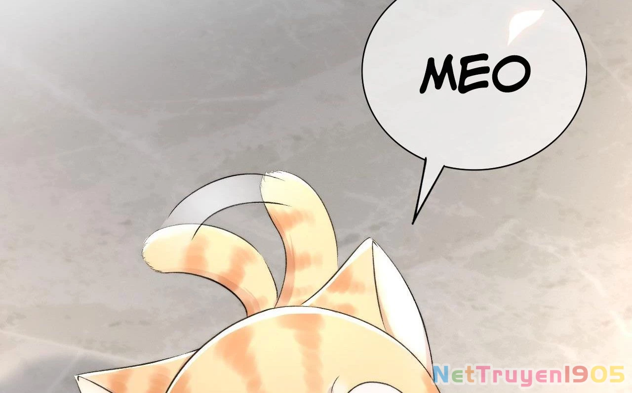 Những Ngày Cùng Tra Công Chính Diện Quyết Đấu Chapter 2 - 42