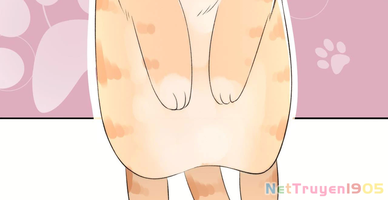 Những Ngày Cùng Tra Công Chính Diện Quyết Đấu Chapter 4 - 76