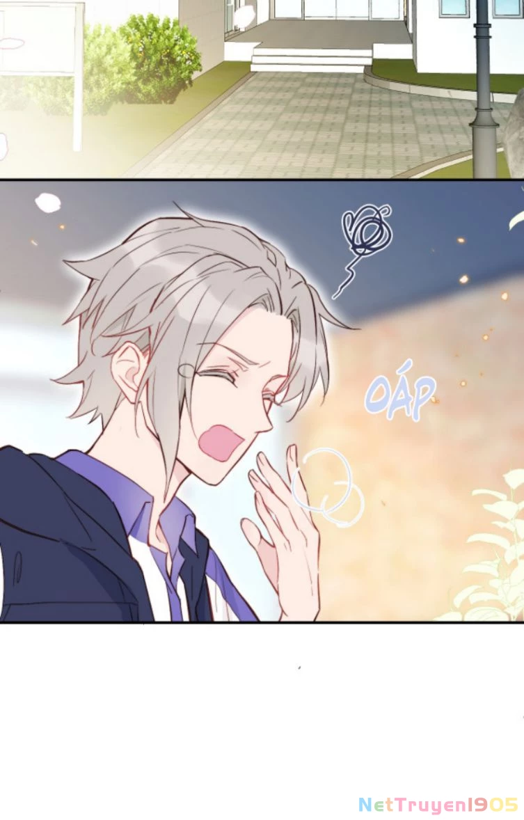 Tỏ Tình Vô Hiệu Chapter 5 - 8