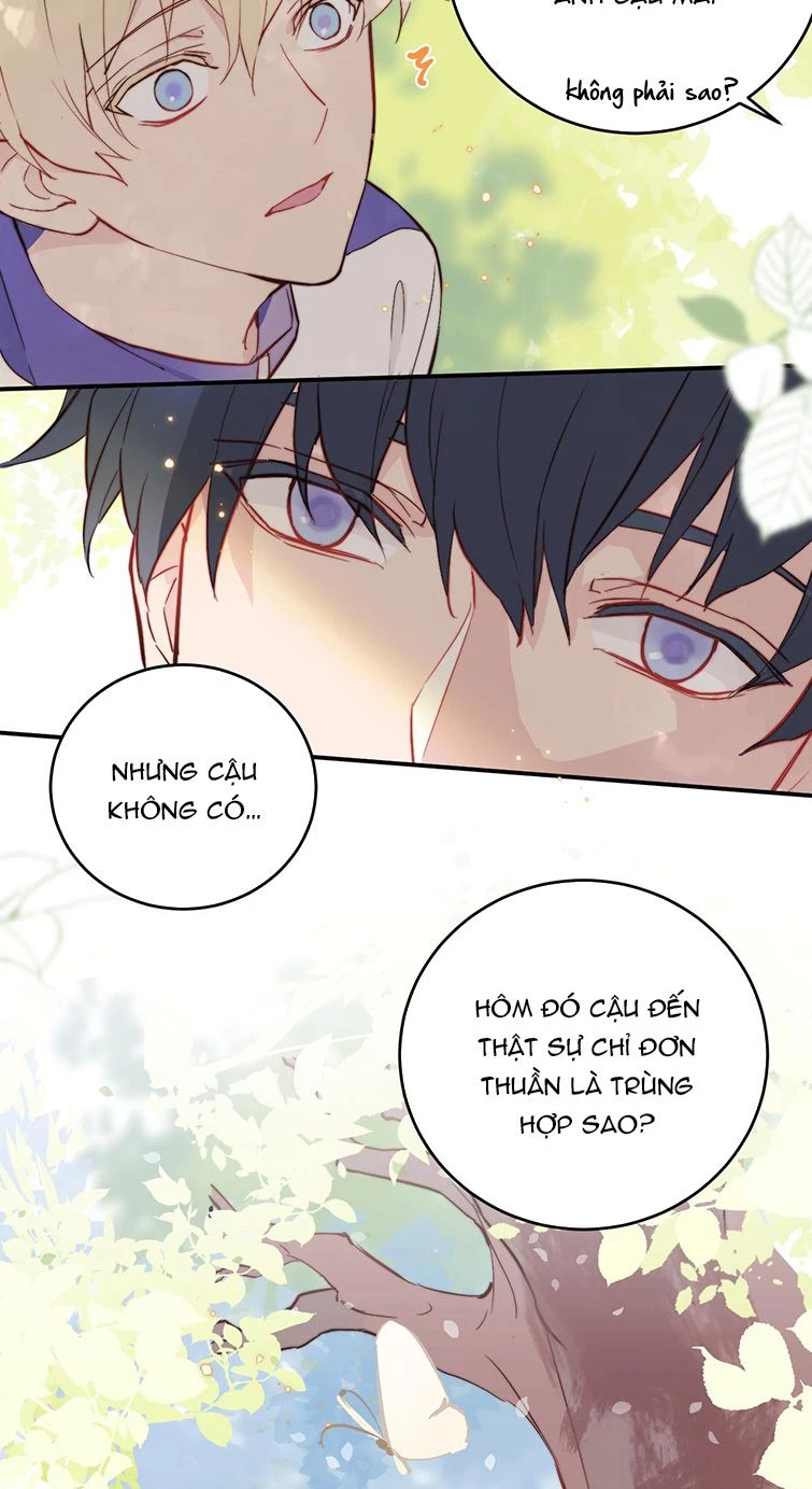 Tỏ Tình Vô Hiệu Chapter 6 - 15
