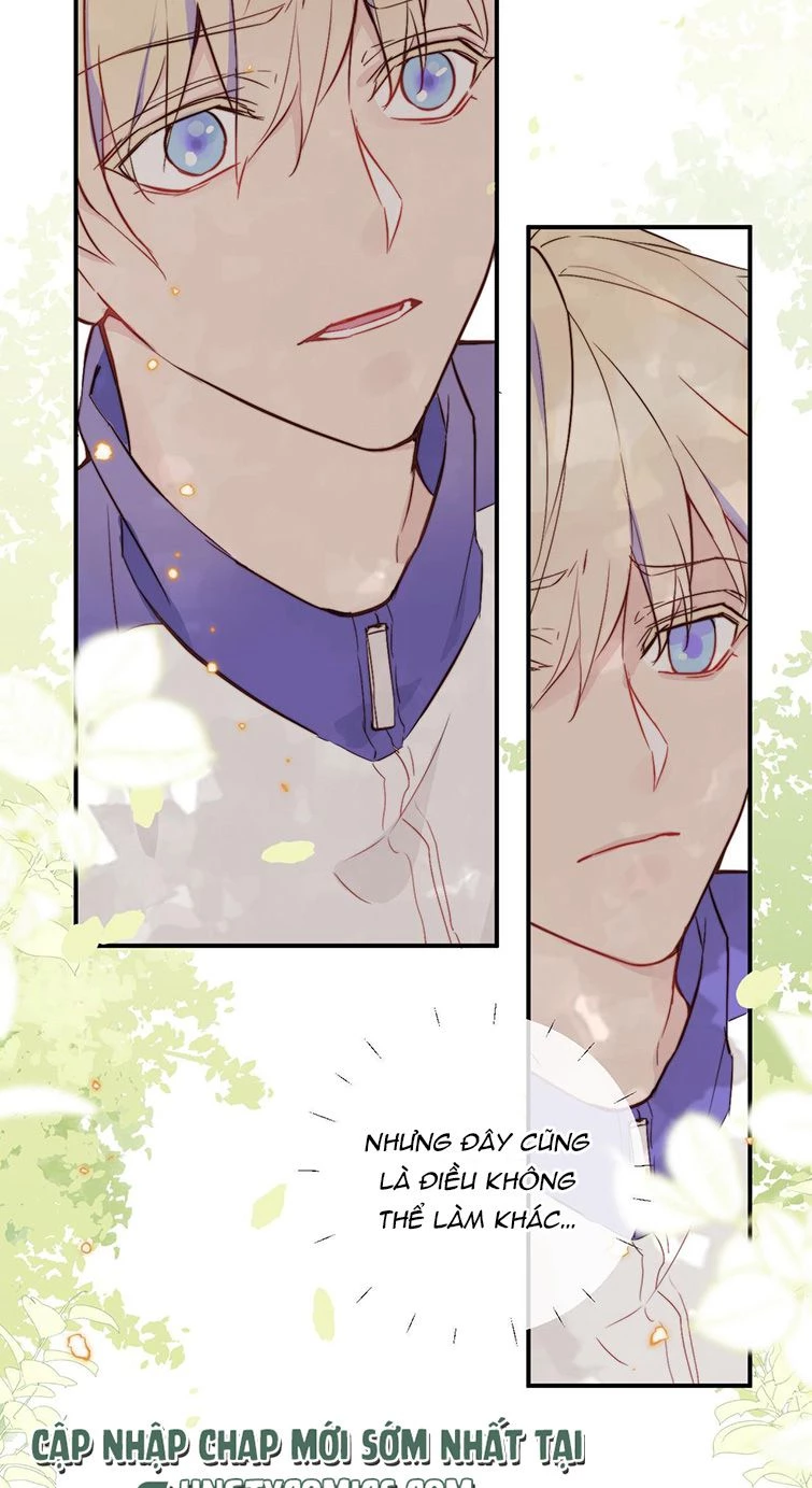 Tỏ Tình Vô Hiệu Chapter 6 - 21