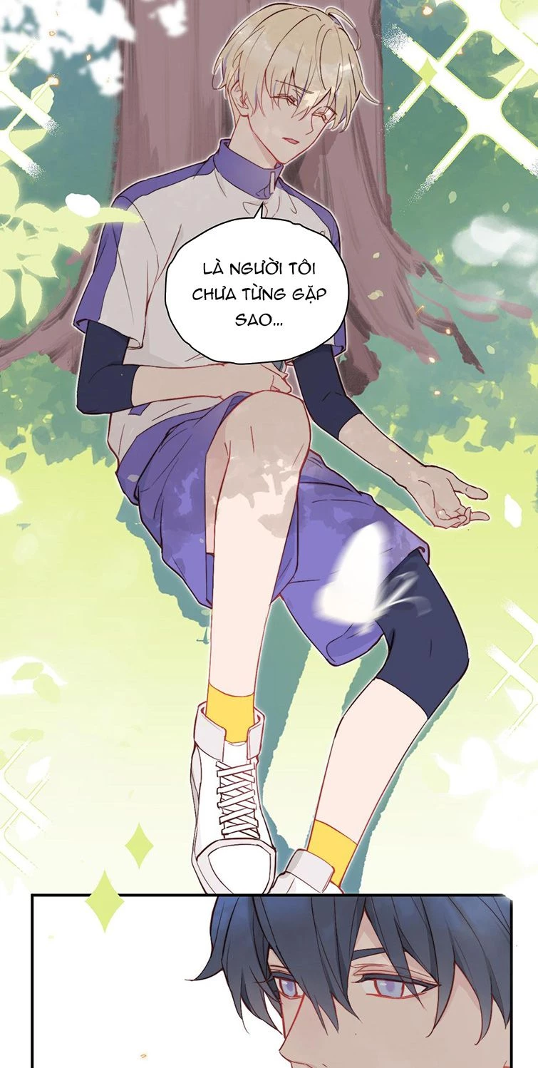 Tỏ Tình Vô Hiệu Chapter 7 - 11