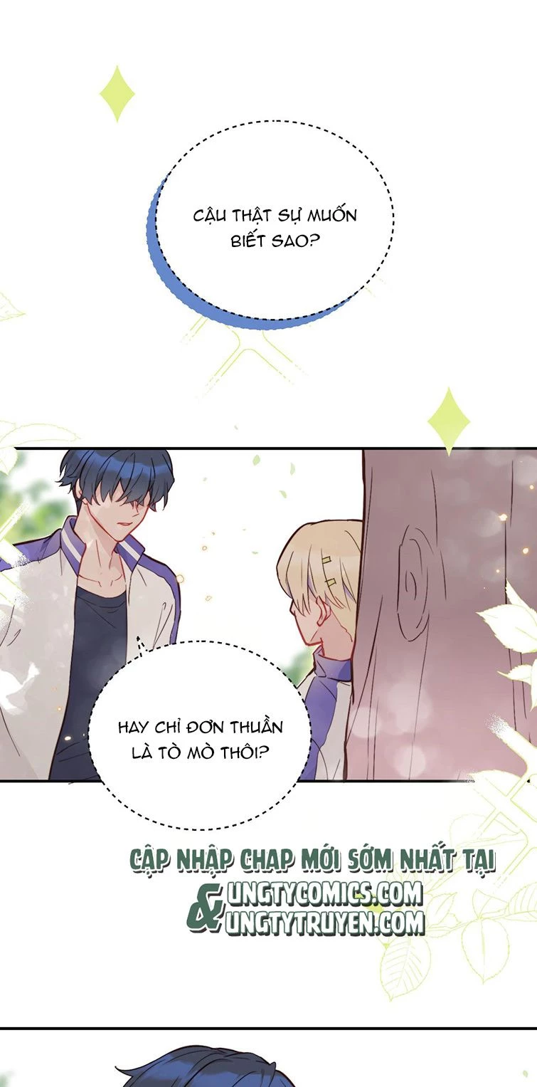 Tỏ Tình Vô Hiệu Chapter 7 - 13