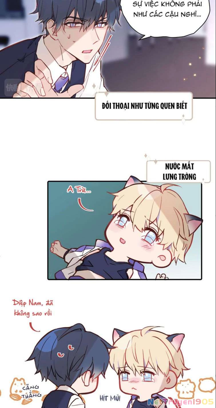 Tỏ Tình Vô Hiệu Chapter 21 - 5