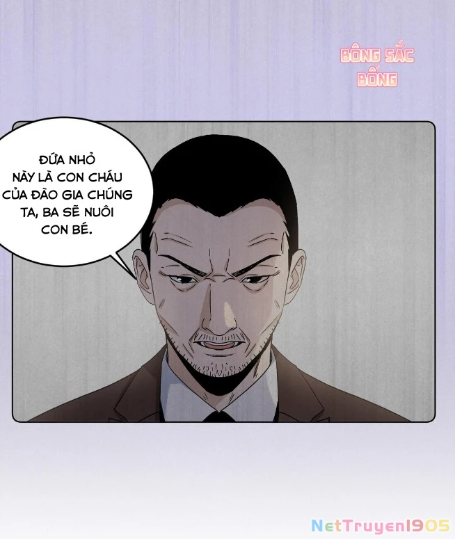 Đào lý bất ngôn Chapter 1 - 40