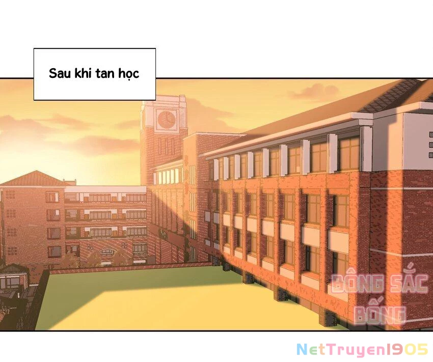 Đào lý bất ngôn Chapter 19 - 29