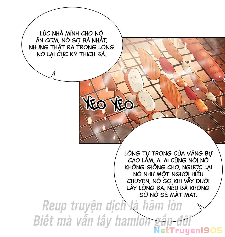 Nữ Thần Ghen Tuông Nhất Vũ Trụ Chapter 17 - 31