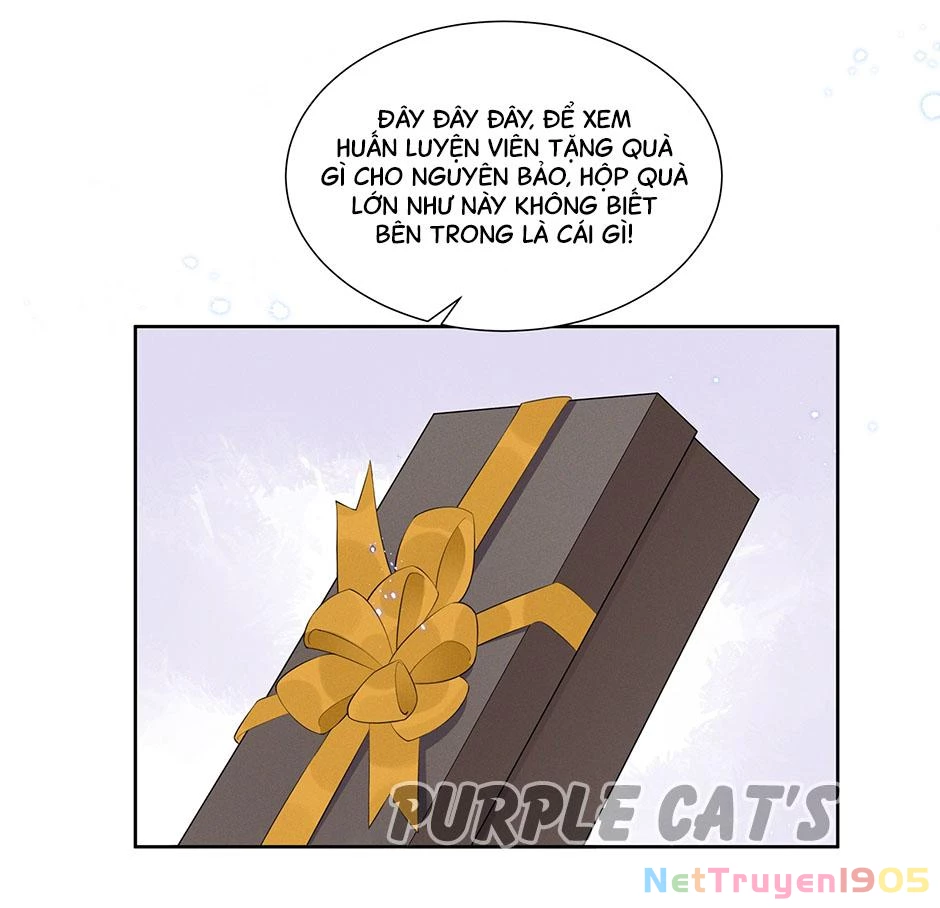 Nữ Thần Ghen Tuông Nhất Vũ Trụ Chapter 19 - 5