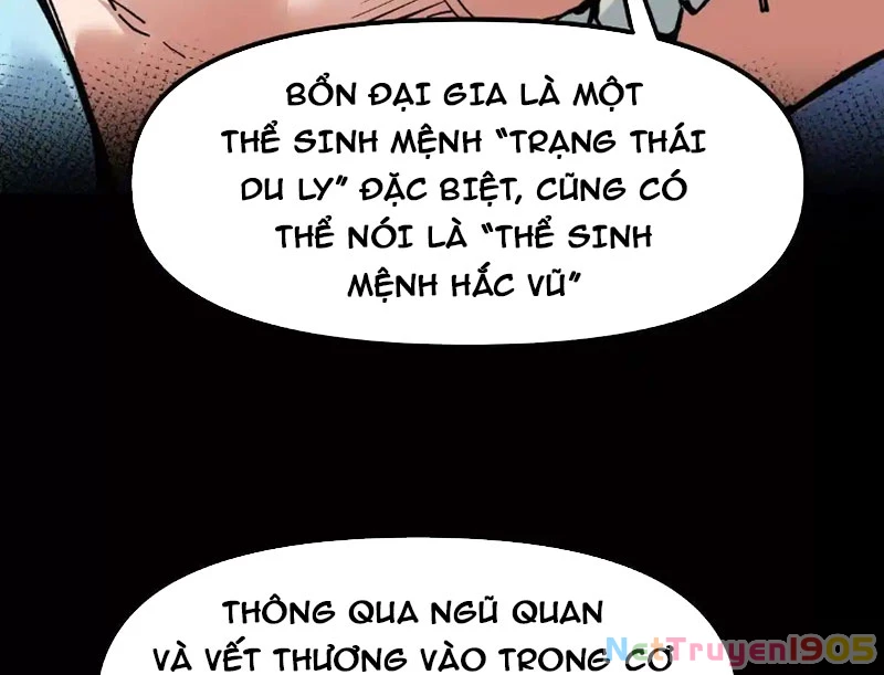 Hắc Vũ Giáng Lâm Chapter 5 - 25