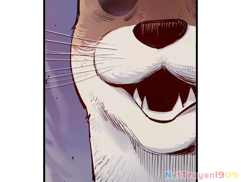 Hắc Vũ Giáng Lâm Chapter 5 - 60