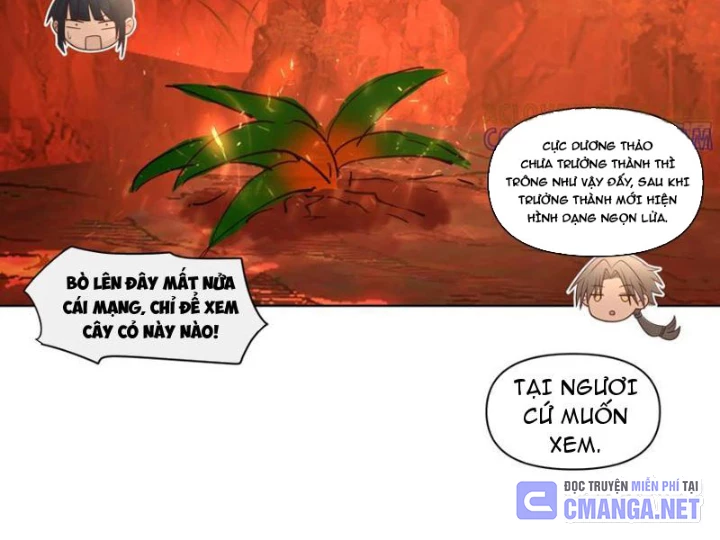 Nữ phụ tu tiên từ chối kịch bản làm pháo hôi Chapter 14 - 21