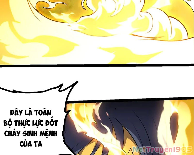 Chuyển Sinh Thành Liễu Đột Biến Chapter 426 - 47