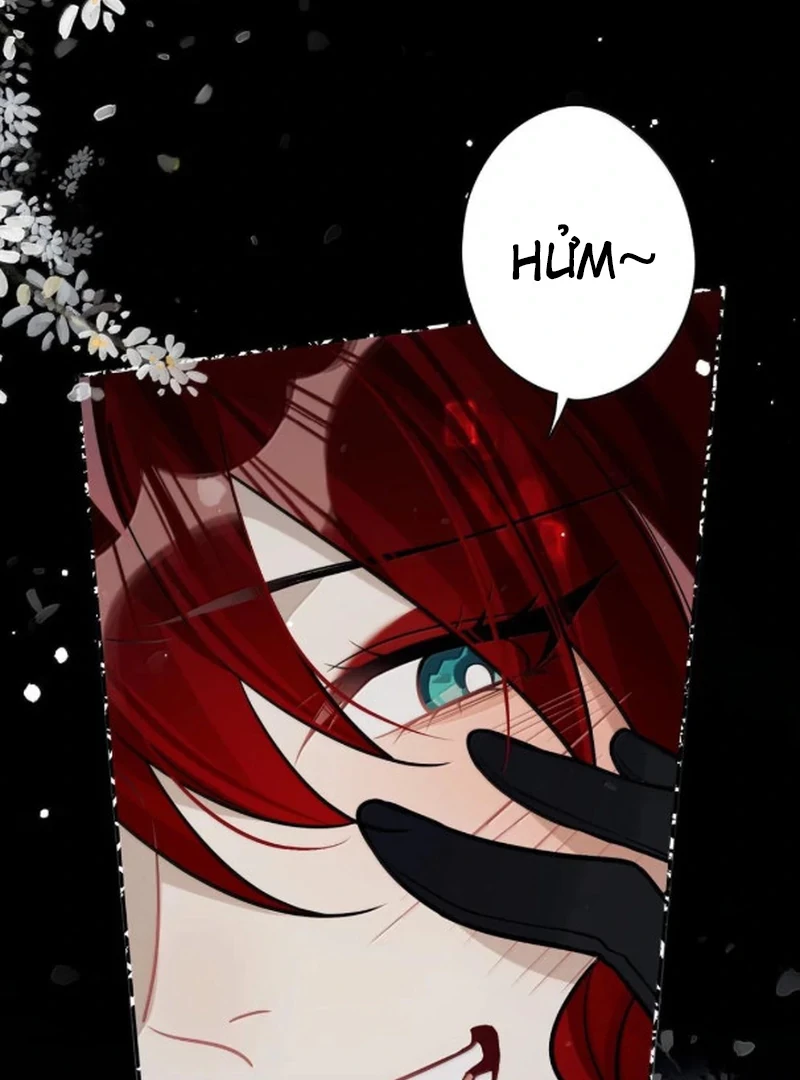 Quấn Quýt Chapter 31 - 50