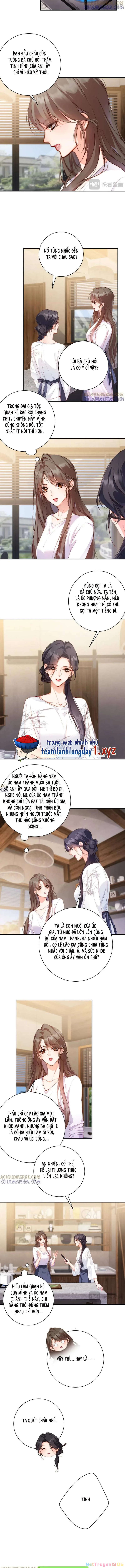 Đệ Nhất Mạnh Bảo: Mua Một Tặng Một Chapter 40 - 2