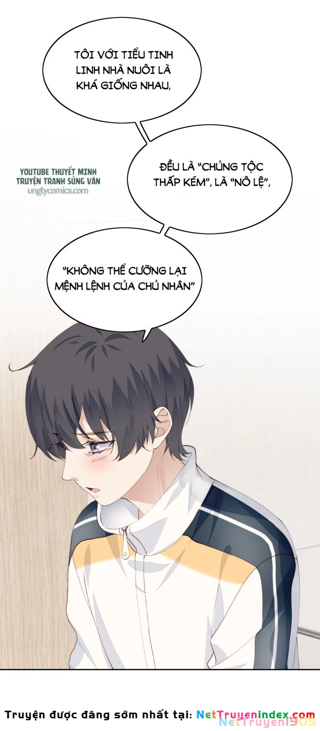 Tôi Bảo Bạn Cùng Bàn Đánh Cậu Chapter 14 - 3