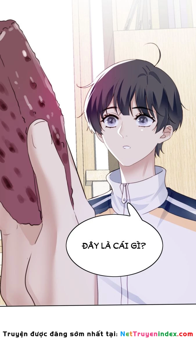 Tôi Bảo Bạn Cùng Bàn Đánh Cậu Chapter 16 - 19