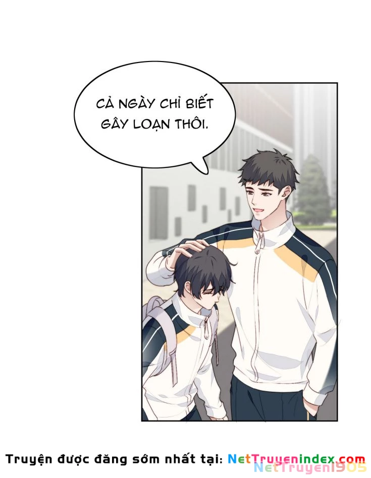 Tôi Bảo Bạn Cùng Bàn Đánh Cậu Chapter 23 - 4