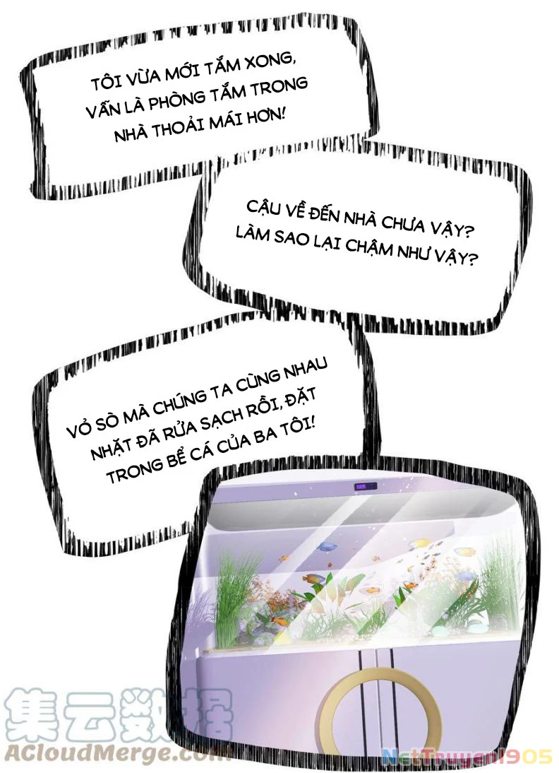 Tôi Bảo Bạn Cùng Bàn Đánh Cậu Chapter 28 - 19