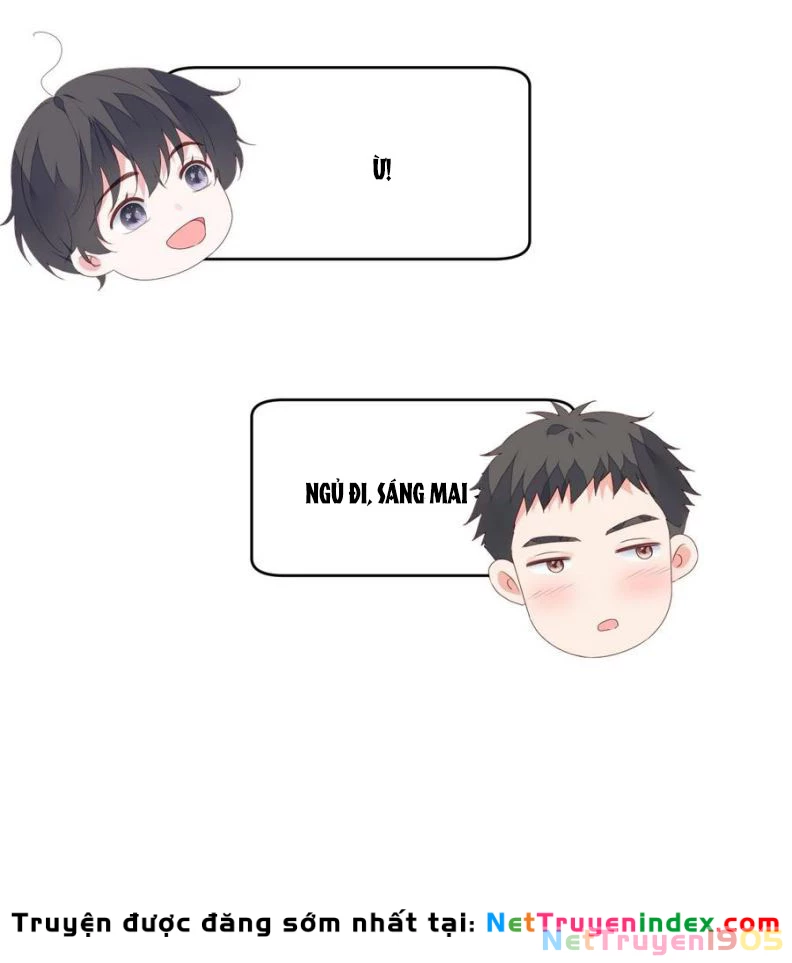 Tôi Bảo Bạn Cùng Bàn Đánh Cậu Chapter 29 - 50