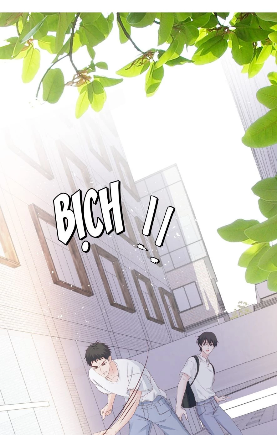 Tôi Bảo Bạn Cùng Bàn Đánh Cậu Chapter 31 - 44