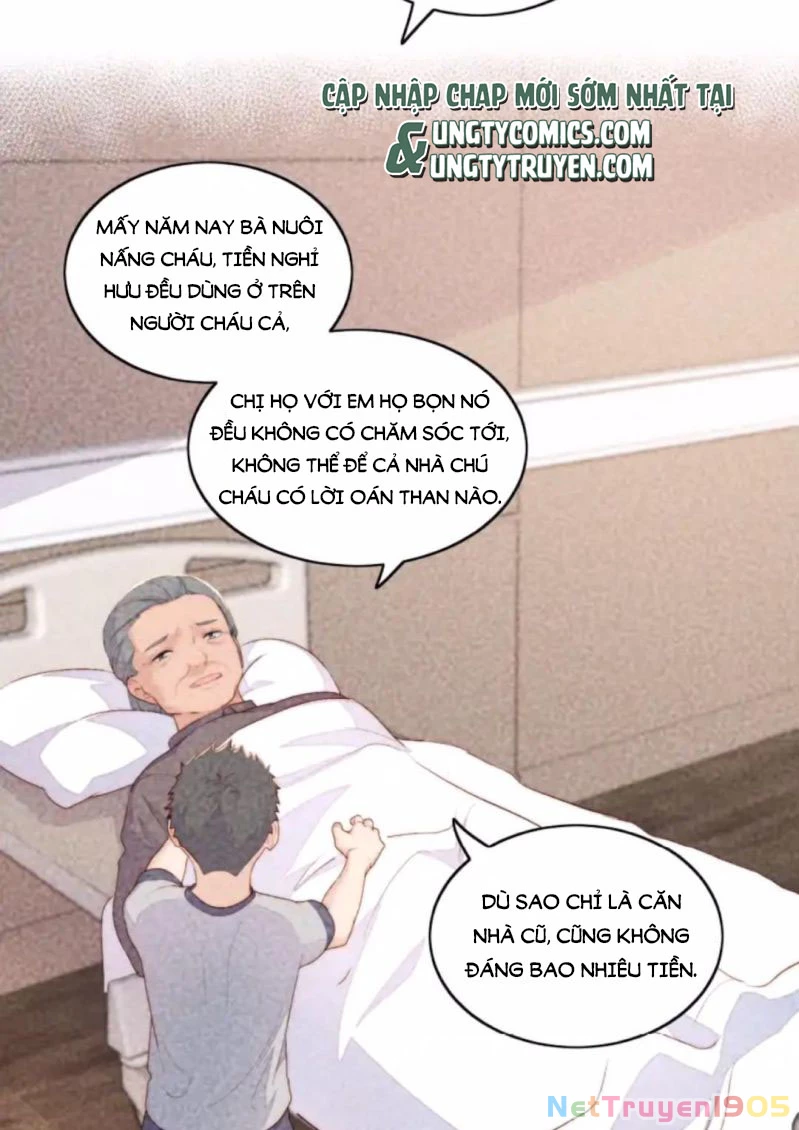 Tôi Bảo Bạn Cùng Bàn Đánh Cậu Chapter 42 - 13