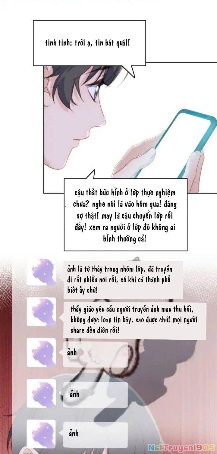 Tôi Bảo Bạn Cùng Bàn Đánh Cậu Chapter 43 - 33