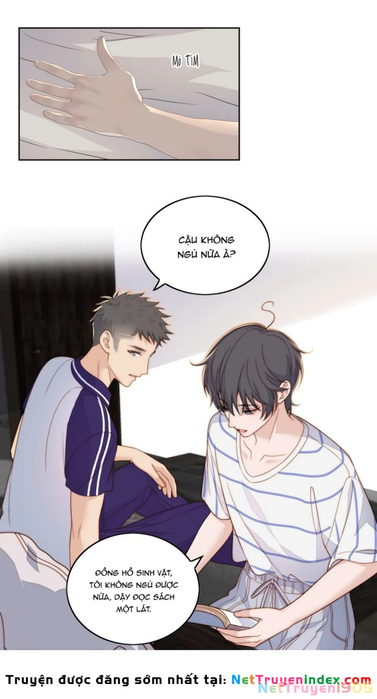 Tôi Bảo Bạn Cùng Bàn Đánh Cậu Chapter 55 - 4