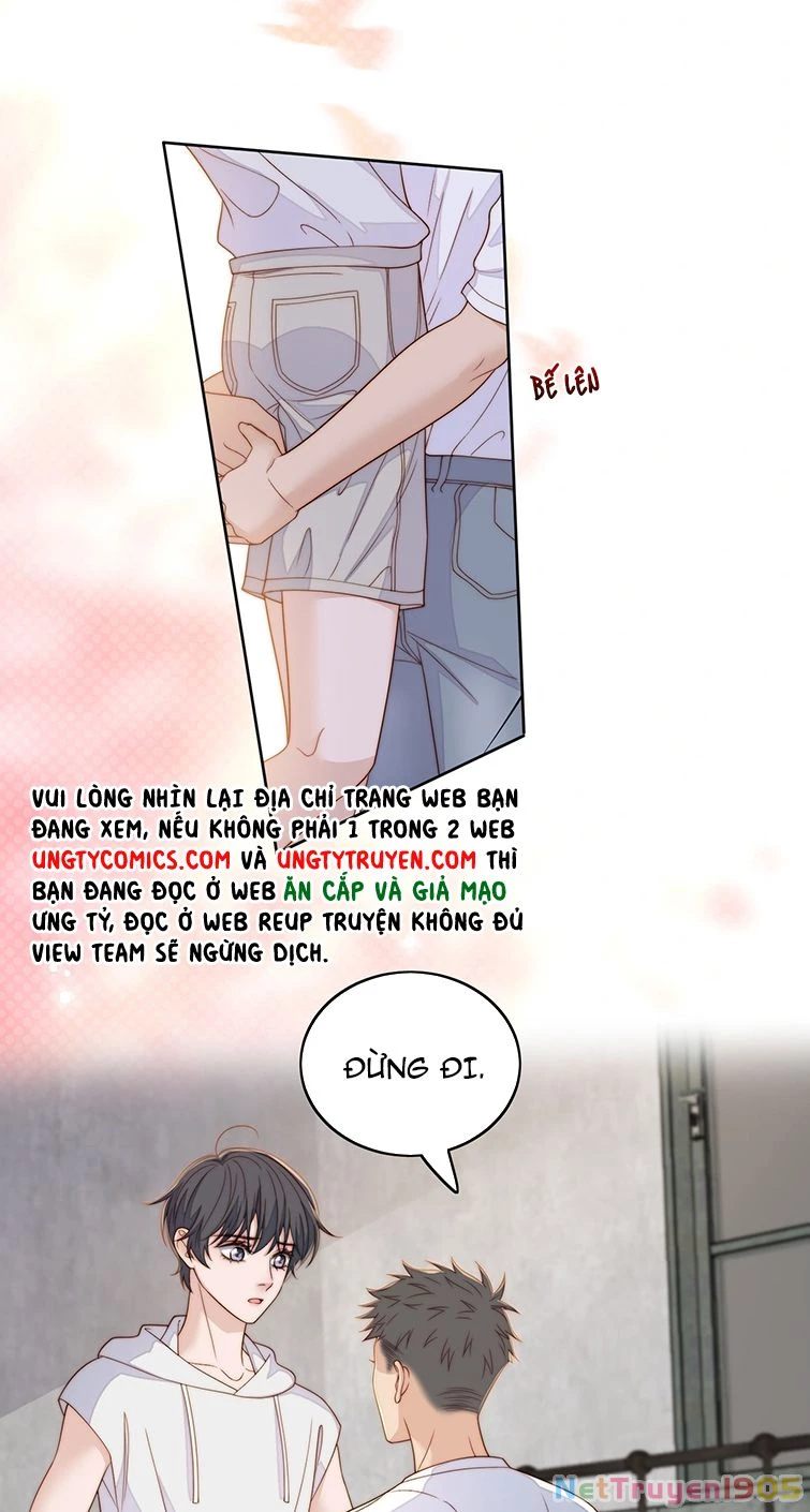 Tôi Bảo Bạn Cùng Bàn Đánh Cậu Chapter 66 - 19