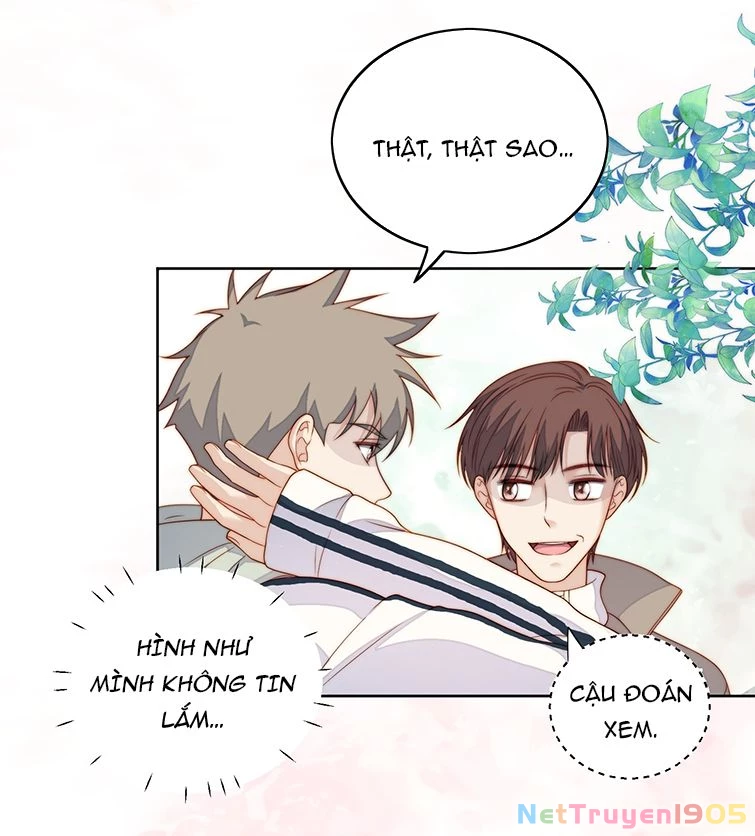 Tôi Bảo Bạn Cùng Bàn Đánh Cậu Chapter 73 - 12