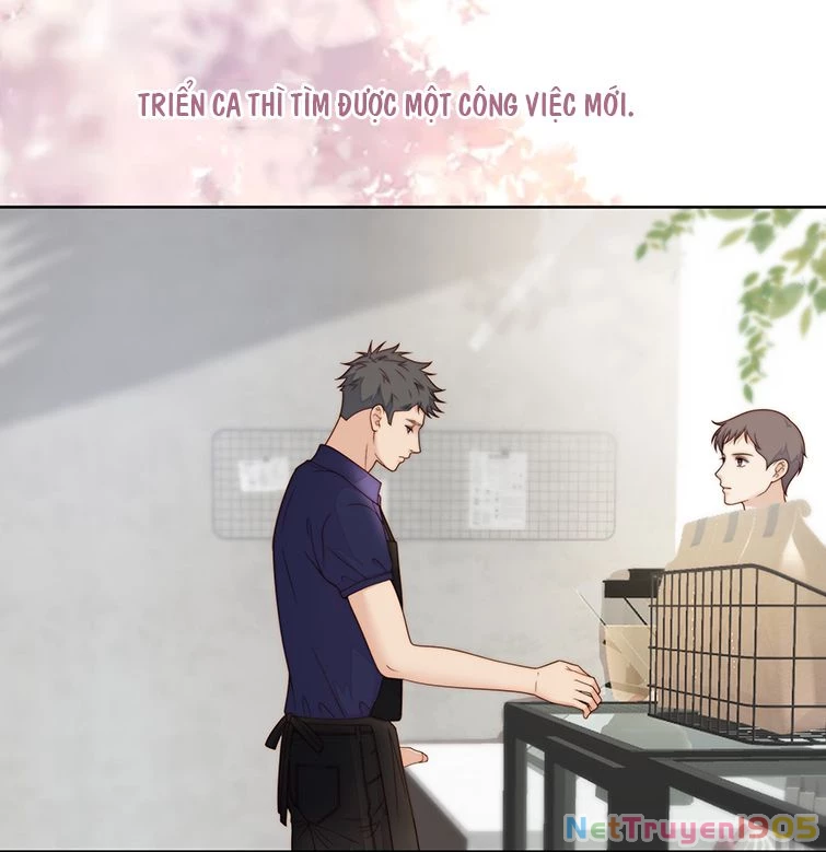 Tôi Bảo Bạn Cùng Bàn Đánh Cậu Chapter 79 - 11