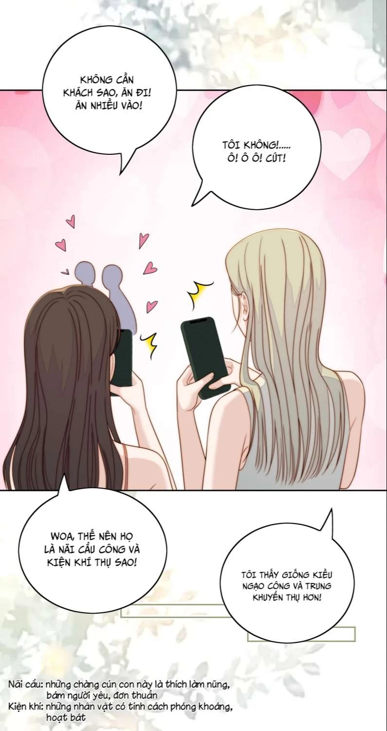 Tôi Bảo Bạn Cùng Bàn Đánh Cậu Chapter 81 - 14