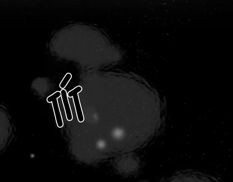 Giáo Chủ Thích Bắt Nạt Người Chapter 41 - 64