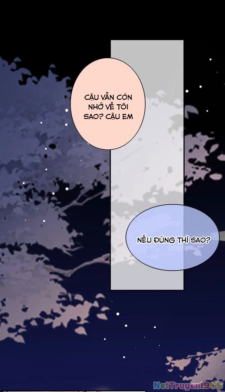 Scandal Quá Nhiều Là Lỗi Của Tôi Sao ? Chapter 10 - 2