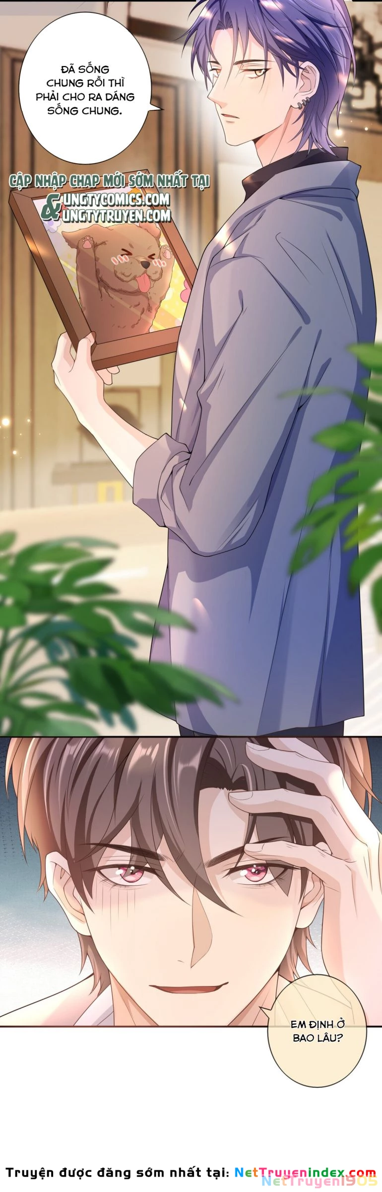 Scandal Quá Nhiều Là Lỗi Của Tôi Sao ? Chapter 19 - 4