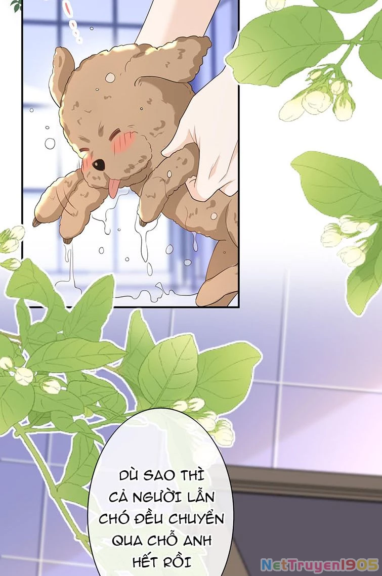 Scandal Quá Nhiều Là Lỗi Của Tôi Sao ? Chapter 31 - 2