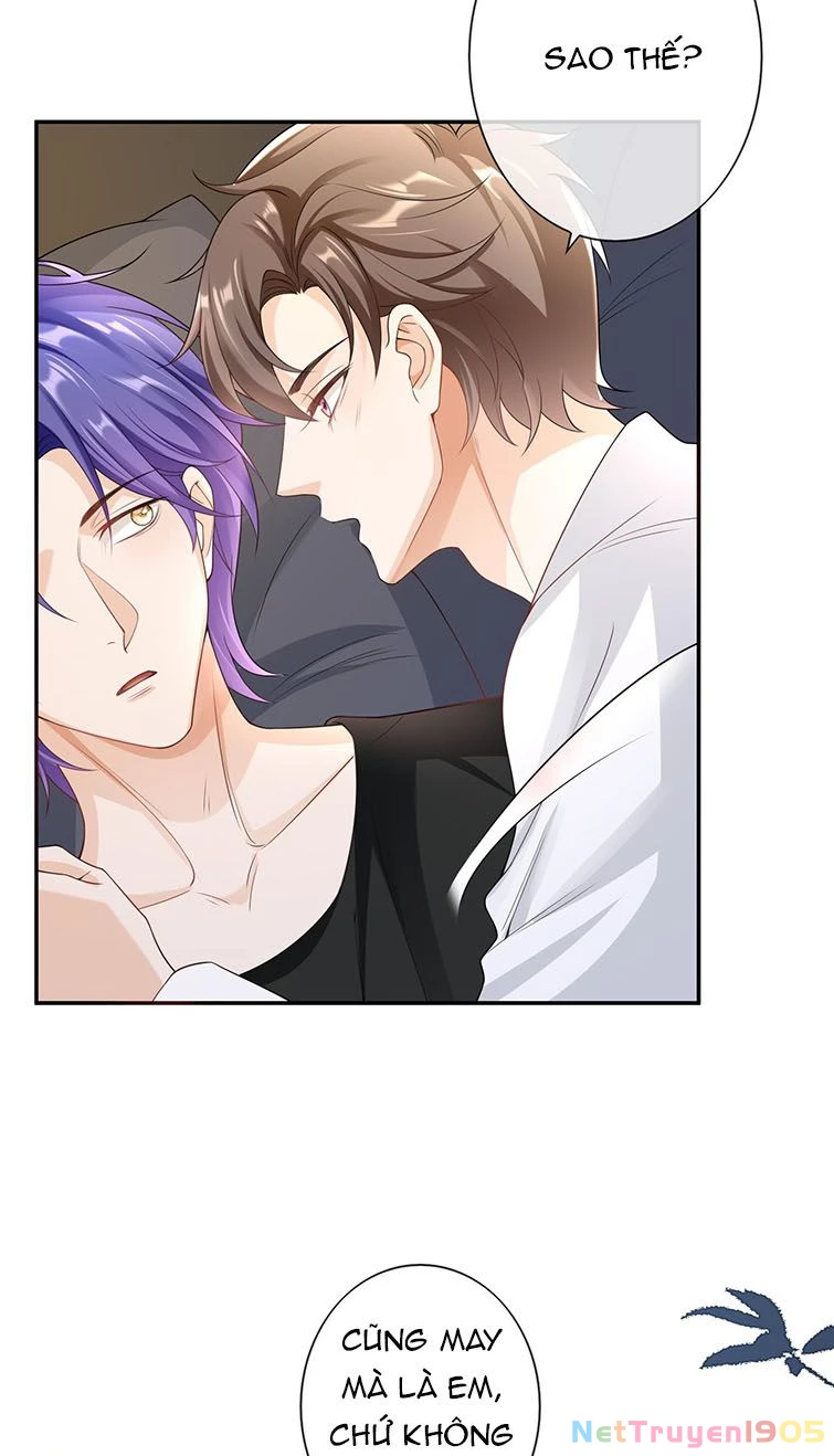 Scandal Quá Nhiều Là Lỗi Của Tôi Sao ? Chapter 31 - 19