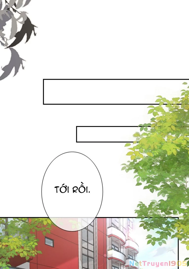 Scandal Quá Nhiều Là Lỗi Của Tôi Sao ? Chapter 32 - 24