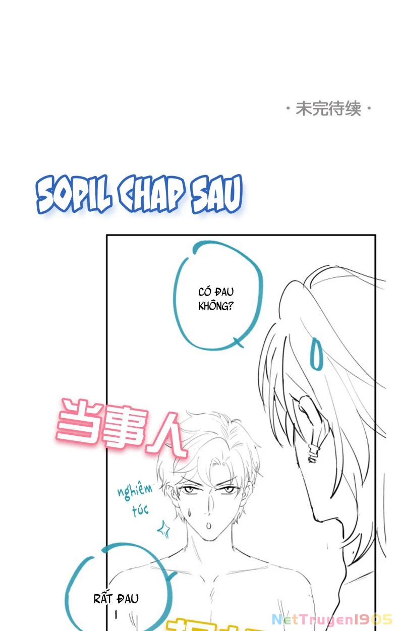 Scandal Quá Nhiều Là Lỗi Của Tôi Sao ? Chapter 36 - 38