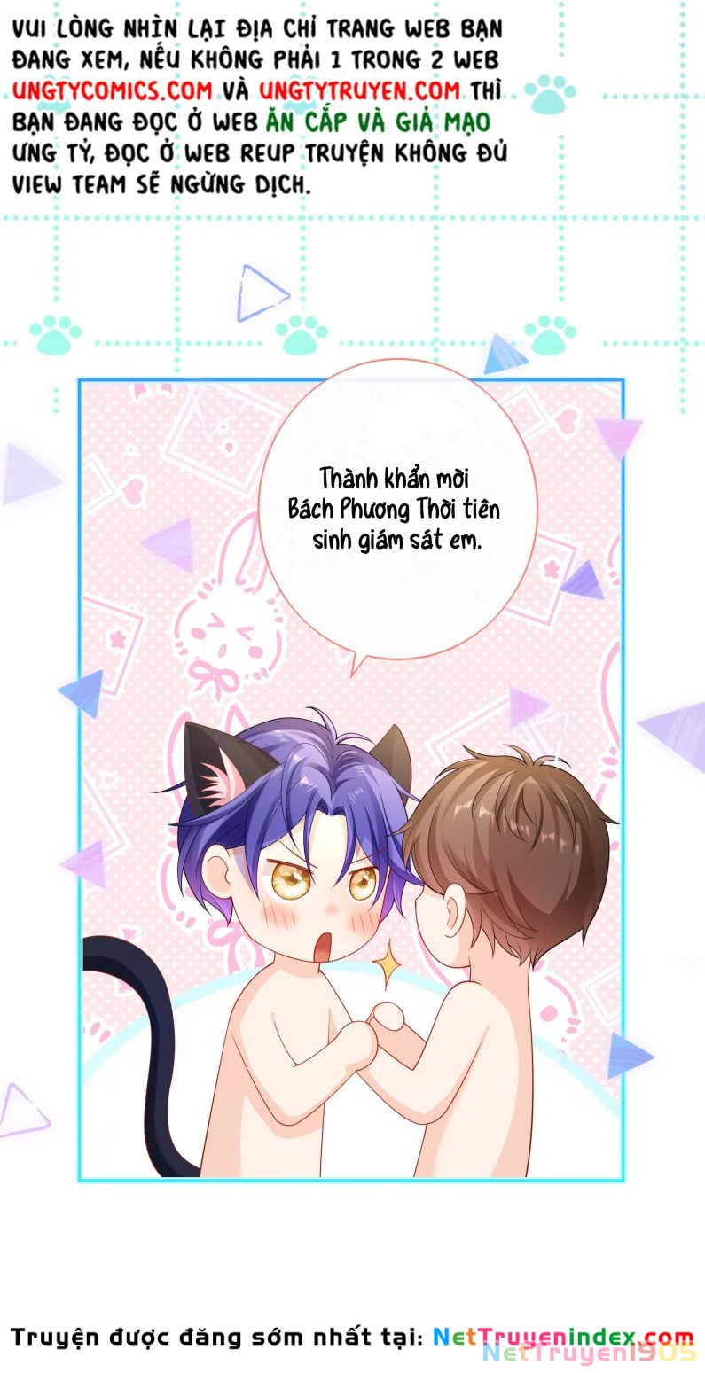 Scandal Quá Nhiều Là Lỗi Của Tôi Sao ? Chapter 52 - 21