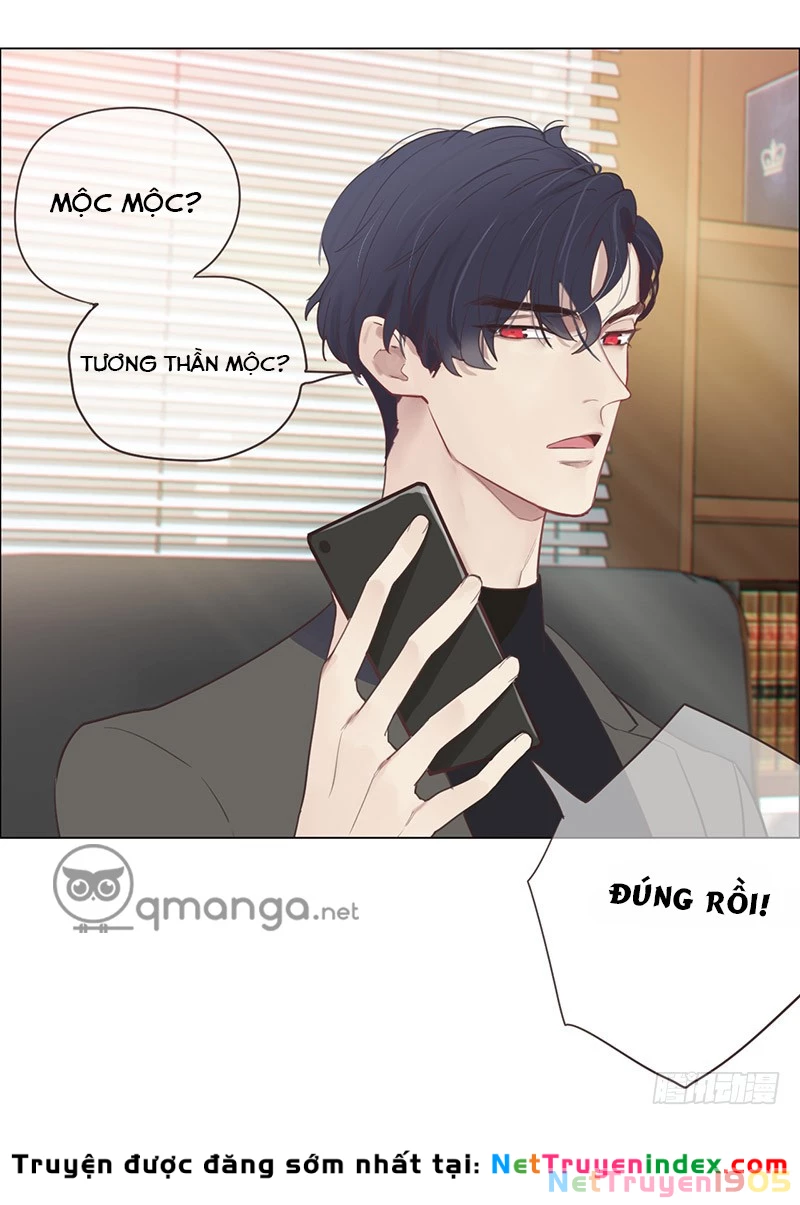 Tương Nhu Dịch Mộc Chapter 3 - 8