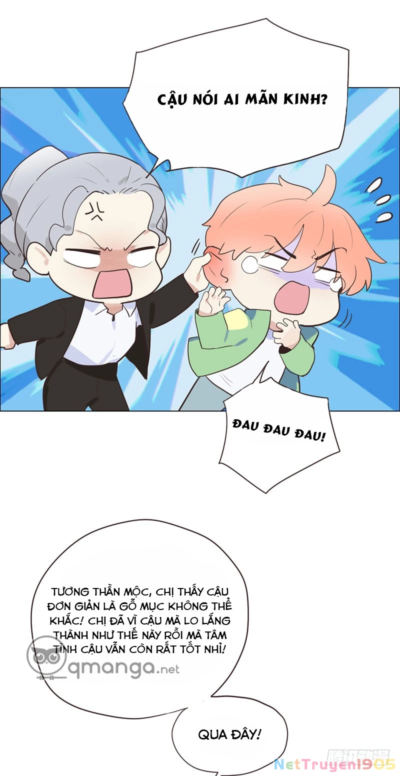 Tương Nhu Dịch Mộc Chapter 3 - 18