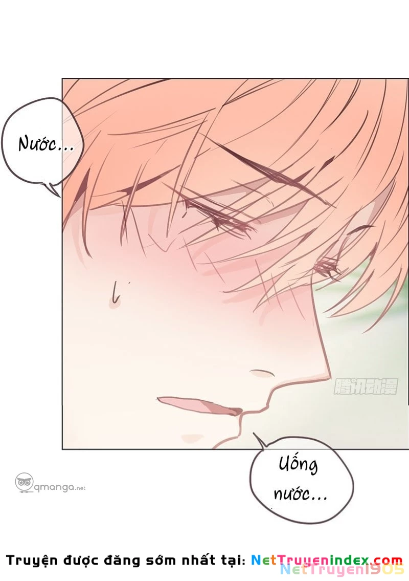 Tương Nhu Dịch Mộc Chapter 8 - 44