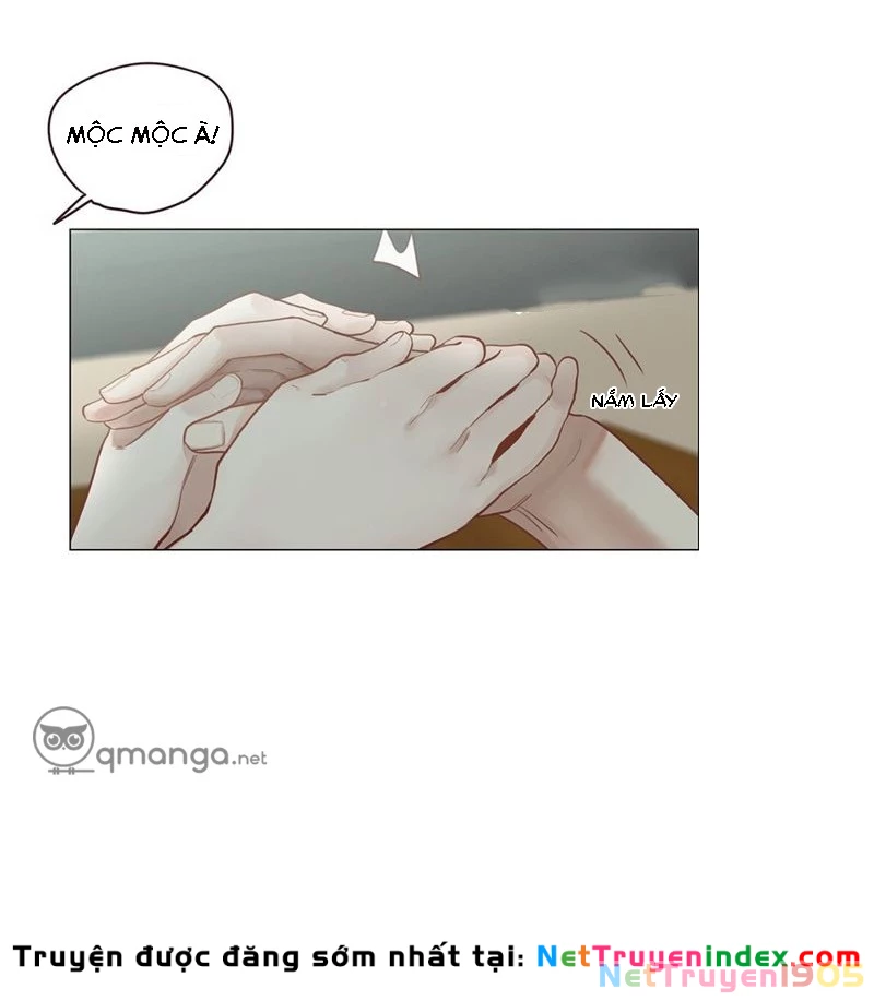 Tương Nhu Dịch Mộc Chapter 12 - 9