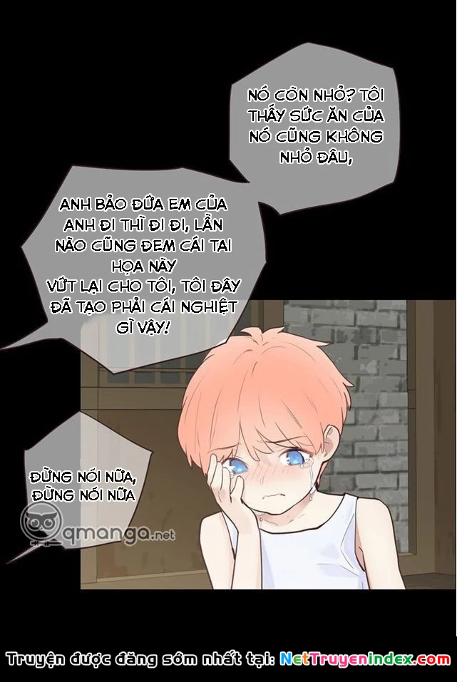 Tương Nhu Dịch Mộc Chapter 12 - 14