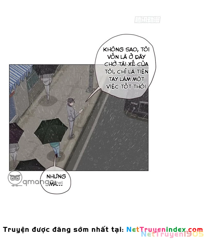 Tương Nhu Dịch Mộc Chapter 13 - 13