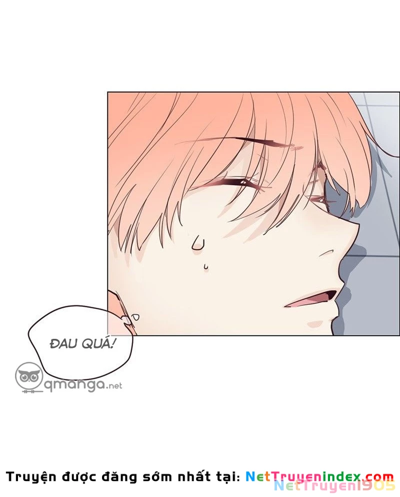 Tương Nhu Dịch Mộc Chapter 15 - 13