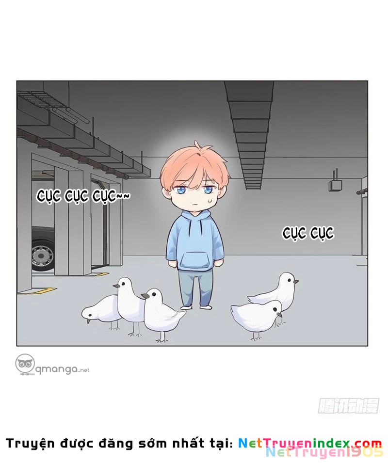 Tương Nhu Dịch Mộc Chapter 17 - 2