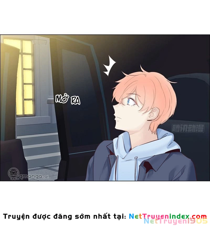 Tương Nhu Dịch Mộc Chapter 17 - 7