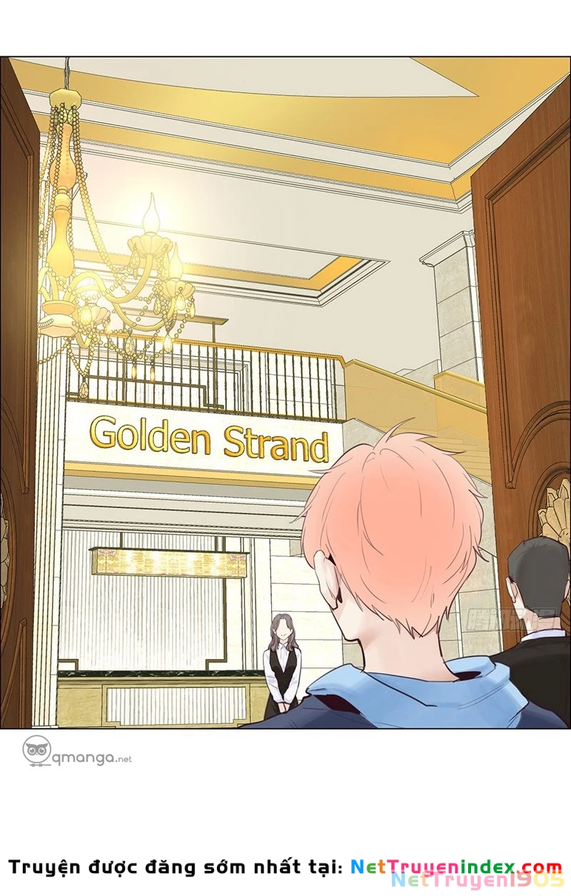 Tương Nhu Dịch Mộc Chapter 17 - 9